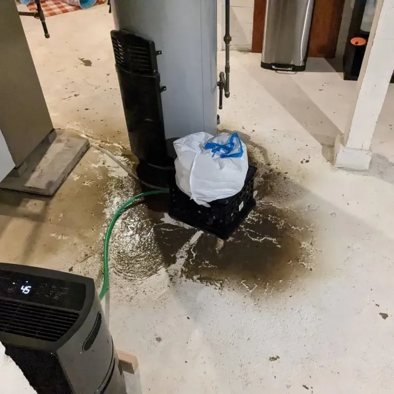 Sewage Backup Cleanup Service in Pine Hill, NJ